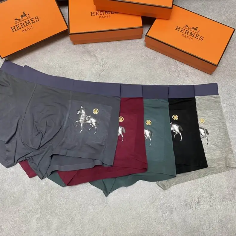 Hermes boxer L-3XL 02